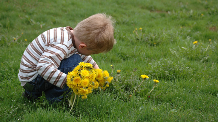Barn som plockar maskrosor