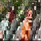 Bild på ASH Och Charlotte